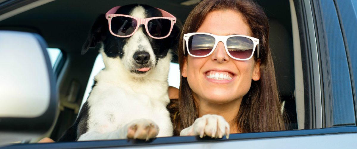 woman-and-dog-in-car-with-sunglasses_b